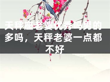 天秤座老婆优秀吗男的多吗,天秤老婆一点都不好