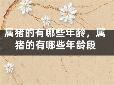 属猪的有哪些年龄，属猪的有哪些年龄段