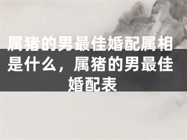 属猪的男最佳婚配属相是什么，属猪的男最佳婚配表