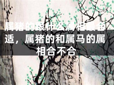 属猪的跟什么属相最合适，属猪的和属马的属相合不合