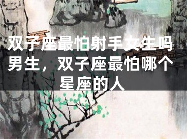 双子座最怕射手女生吗男生，双子座最怕哪个星座的人