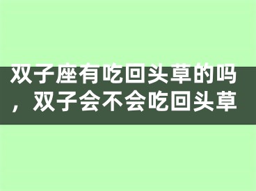 双子座有吃回头草的吗，双子会不会吃回头草