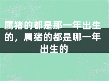 属猪的都是那一年出生的，属猪的都是哪一年出生的