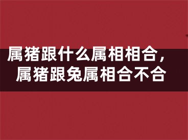 属猪跟什么属相相合，属猪跟兔属相合不合
