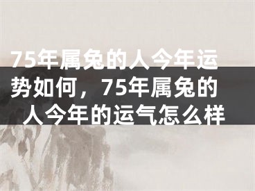 75年属兔的人今年运势如何，75年属兔的人今年的运气怎么样