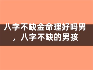 八字不缺金命理好吗男，八字不缺的男孩