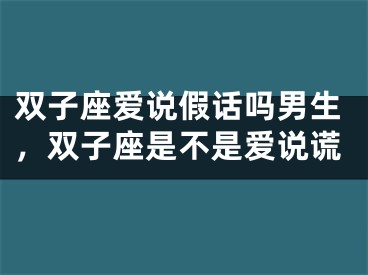 双子座爱说假话吗男生，双子座是不是爱说谎