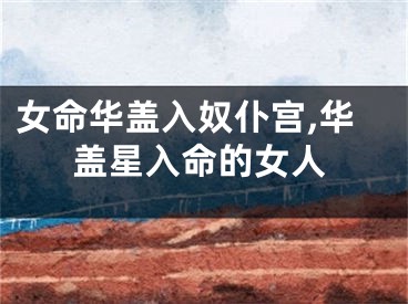 女命华盖入奴仆宫,华盖星入命的女人