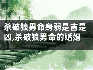 杀破狼男命身弱是吉是凶,杀破狼男命的婚姻