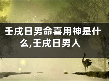 壬戌日男命喜用神是什么,壬戌日男人