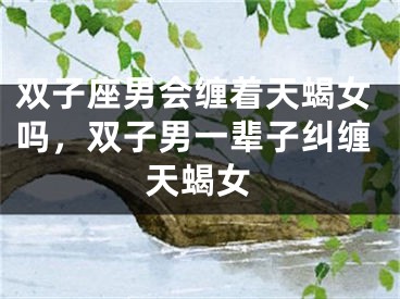 双子座男会缠着天蝎女吗，双子男一辈子纠缠天蝎女