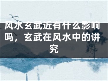 风水玄武近有什么影响吗,玄武在风水中的讲究