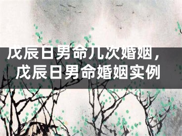 戊辰日男命几次婚姻，戊辰日男命婚姻实例