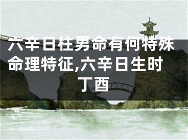 六辛日柱男命有何特殊命理特征,六辛日生时丁酉