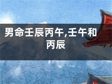 男命壬辰丙午,壬午和丙辰