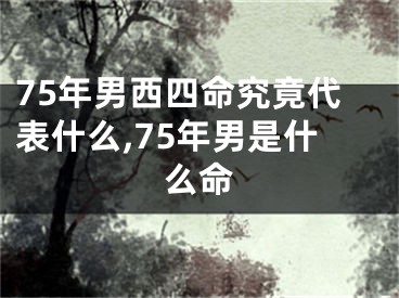 75年男西四命究竟代表什么,75年男是什么命