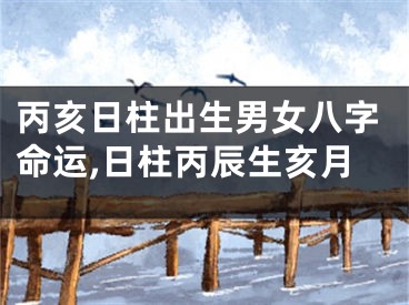 丙亥日柱出生男女八字命运,日柱丙辰生亥月