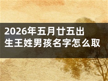 2026年五月廿五出生王姓男孩名字怎么取