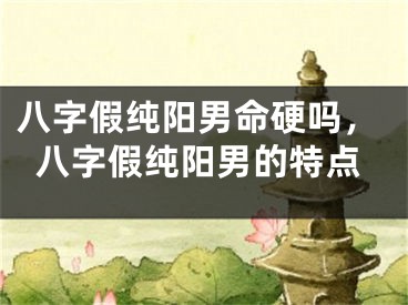 八字假纯阳男命硬吗，八字假纯阳男的特点