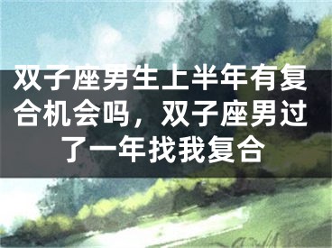 双子座男生上半年有复合机会吗，双子座男过了一年找我复合