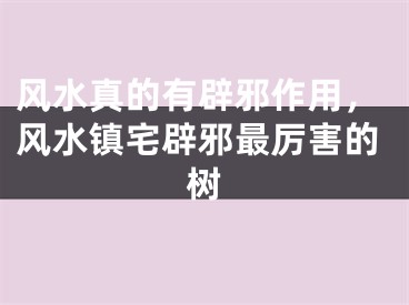 风水真的有辟邪作用，风水镇宅辟邪最厉害的树
