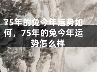 75年的兔今年运势如何，75年的兔今年运势怎么样