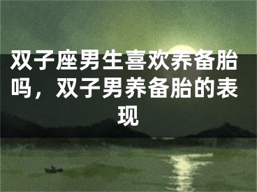 双子座男生喜欢养备胎吗，双子男养备胎的表现