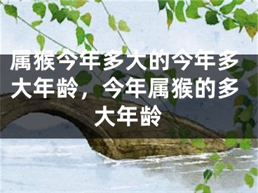 属猴今年多大的今年多大年龄，今年属猴的多大年龄