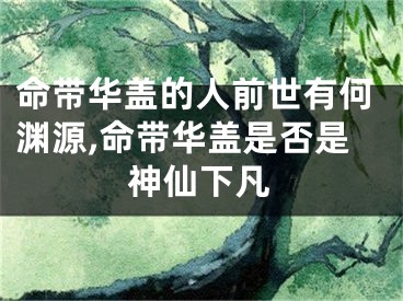 命带华盖的人前世有何渊源,命带华盖是否是神仙下凡