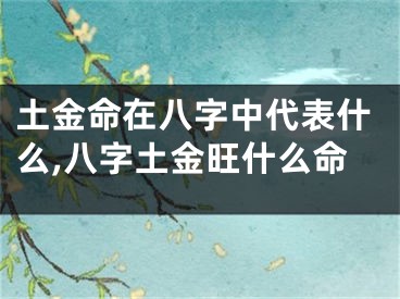 土金命在八字中代表什么,八字土金旺什么命