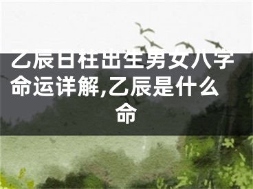 乙辰日柱出生男女八字命运详解,乙辰是什么命