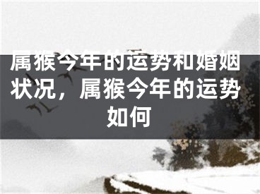 属猴今年的运势和婚姻状况，属猴今年的运势如何