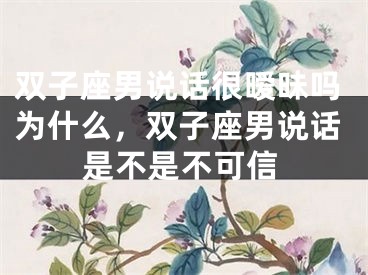双子座男说话很暧昧吗为什么，双子座男说话是不是不可信