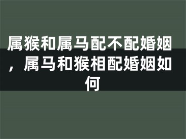 属猴和属马配不配婚姻，属马和猴相配婚姻如何