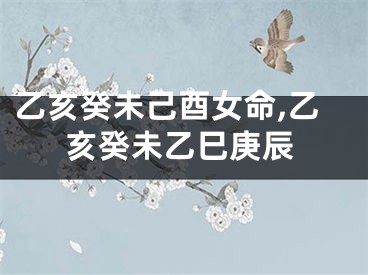 乙亥癸未己酉女命,乙亥癸未乙巳庚辰