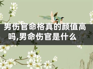 男伤官命格真的颜值高吗,男命伤官是什么