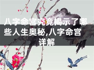 八字命宫究竟揭示了哪些人生奥秘,八字命宫详解