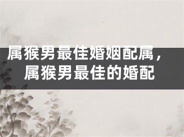 属猴男最佳婚姻配属，属猴男最佳的婚配