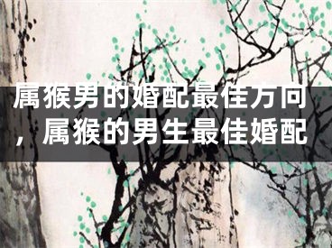 属猴男的婚配最佳方向，属猴的男生最佳婚配
