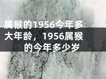 属猴的1956今年多大年龄，1956属猴的今年多少岁