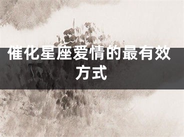 催化星座爱情的最有效方式