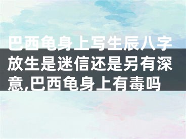 巴西龟身上写生辰八字放生是迷信还是另有深意,巴西龟身上有毒吗