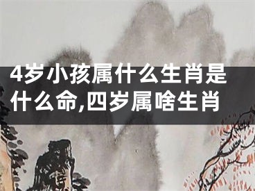 4岁小孩属什么生肖是什么命,四岁属啥生肖