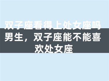 双子座看得上处女座吗男生，双子座能不能喜欢处女座