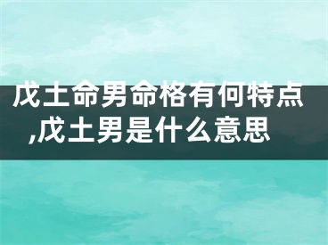戊土命男命格有何特点,戊土男是什么意思