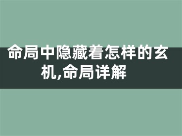 命局中隐藏着怎样的玄机,命局详解