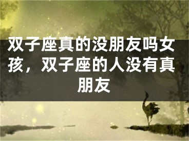 双子座真的没朋友吗女孩，双子座的人没有真朋友