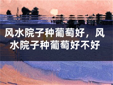 风水院子种葡萄好，风水院子种葡萄好不好