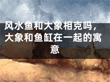 风水鱼和大象相克吗，大象和鱼缸在一起的寓意