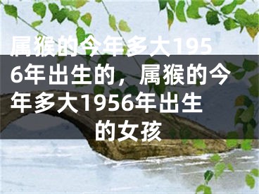 属猴的今年多大1956年出生的，属猴的今年多大1956年出生的女孩
